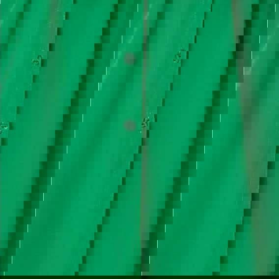 Green | Short Sleeve Knee Length Shirt Dress