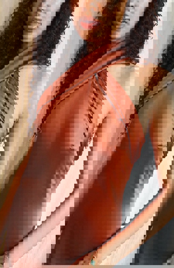 Rewritten London Roma Dress in Cinnamon Satin