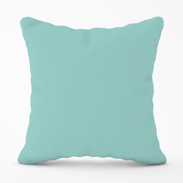 Warren Reed Robin Egg Blue Cushions