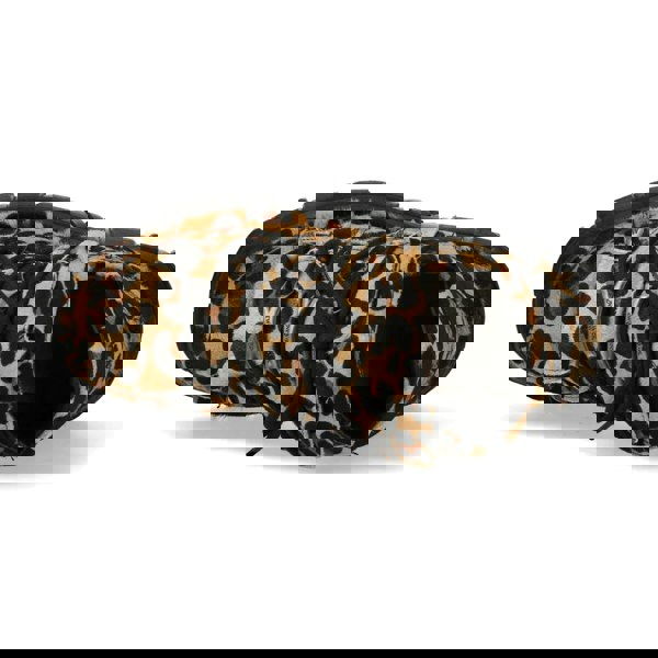 New Rock M-106-C192 Leopard Brown Leather Gothic Ankle Boots