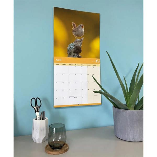 RSPB, Garden Birds Calendar 2027, Wall Calendars, Month To View, Animals, Gift