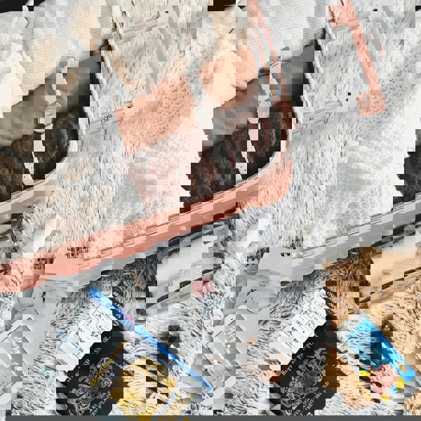 Flight Knight Set of 4 Hard Suitcases Cabin & Hold Luggage - EasyJet, British Airways, Ryanair, Jet2