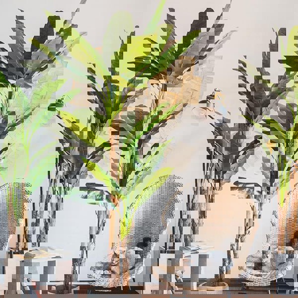 TU14 Artificial Plant-Weilai Concept-Weilai Concept