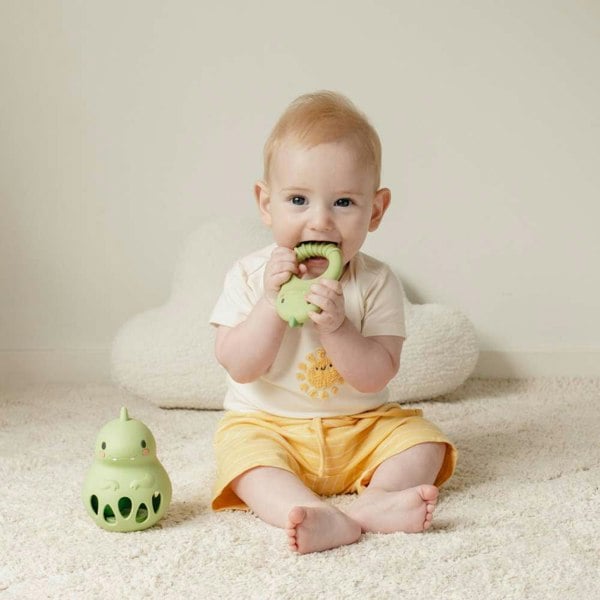 Tiger Tribe Silicone Teether - Dino