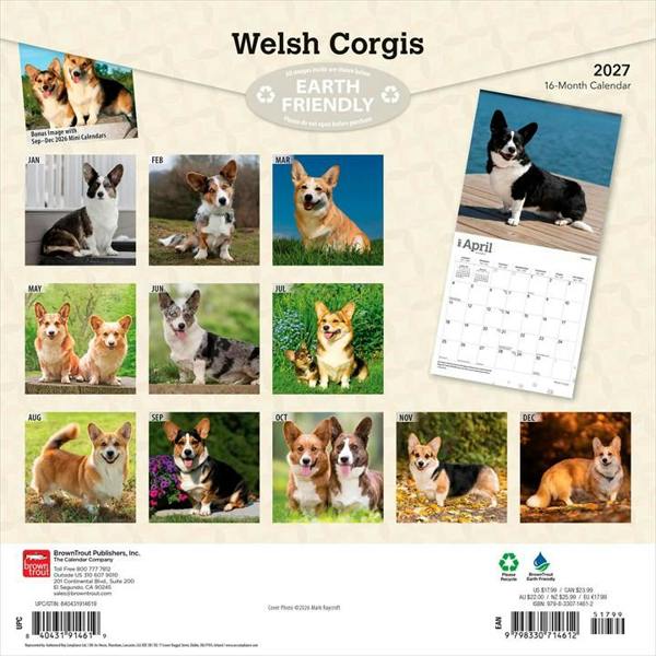 Welsh Corgis Calendar 2027, Wall Calendars, Month To View, Dogs, Gift