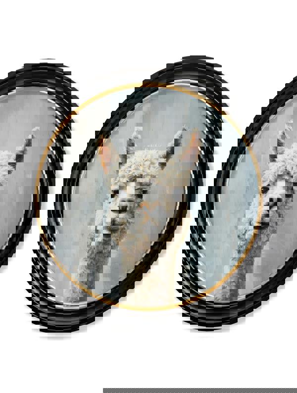 Exceptional Art The Goofy Alpaca - Oxford round frame