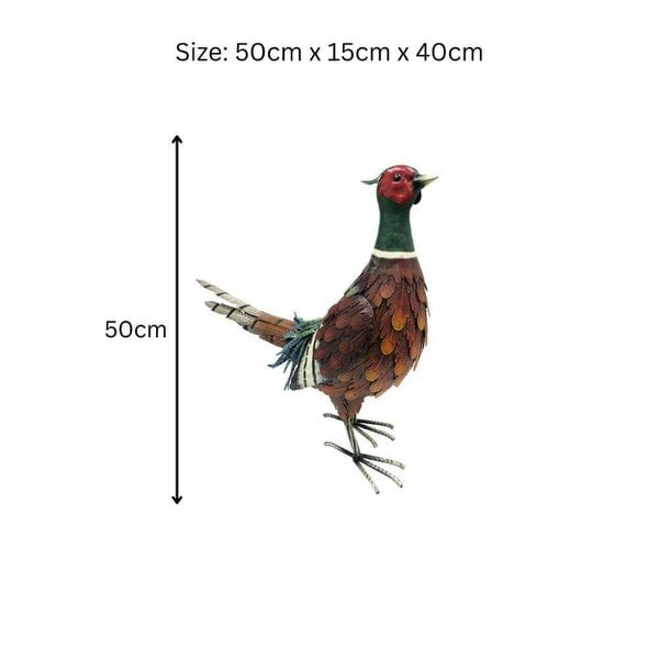 EDH Door Hardware Metal Ring-Necked Pheasant – 50 x 15 x 40 CM | Handcrafted Metal Bird Garden Ornament