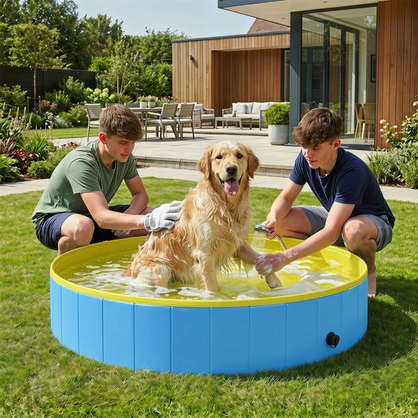 Pet Swimming Pool