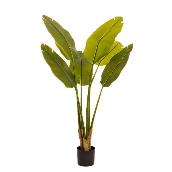 Scottish Everlastings 120cm Real Touch Banana Tree