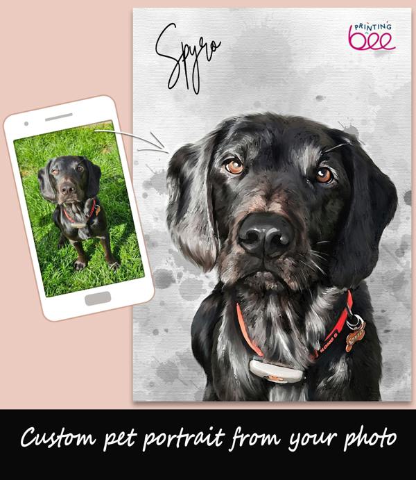 Personalised Watercolour Pet Portrait