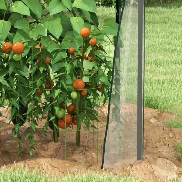 Clear mini greenhouse wall panel beside tomato plants in raised soil bed