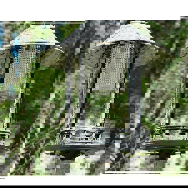 Gr8 Garden Grey Pedestal Bird Bath Feeder Planter Solar Light Garden Feeding Table Station