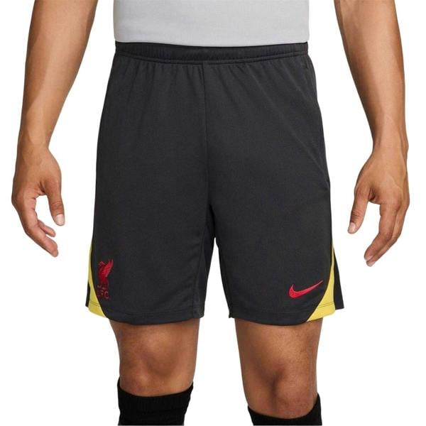 Nike Unisex Adult Strike Liverpool FC Football Shorts - Grey - 