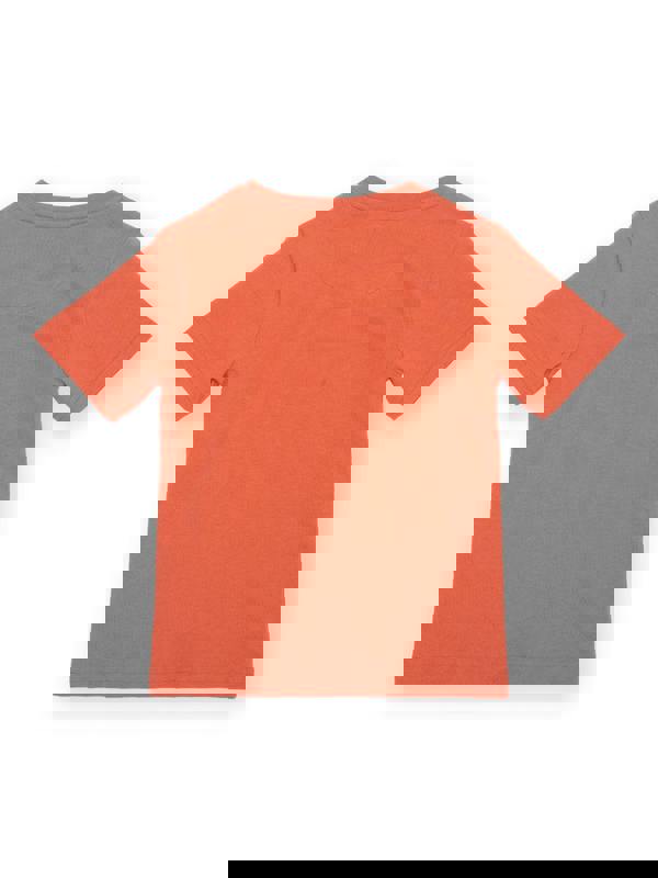 Kite Boys Organic Dino Discovery T-Shirt