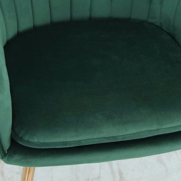 Set of 2 Velvet Dining Chairs with Pad and Armrest Dining Chairs Living and Home