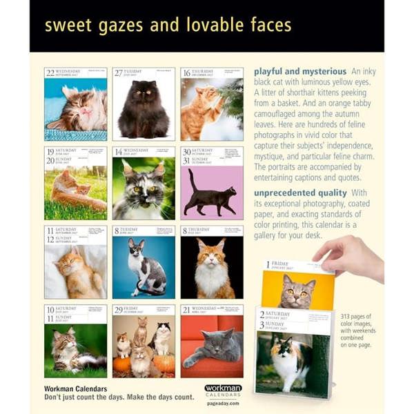 Cat Gallery Desk Calendar 2027, Desk Calendars, Day To View, Cats, Gift