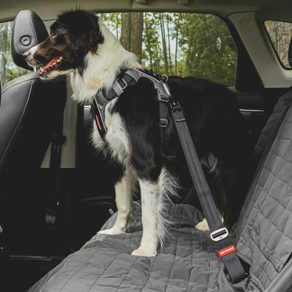 EzyDog Heavy Duty Adjustable Dog Seatbelt