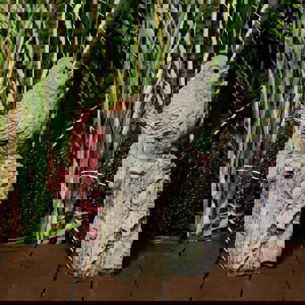 Robin on Post Statue | Bird on Post Stone Garden Ornament