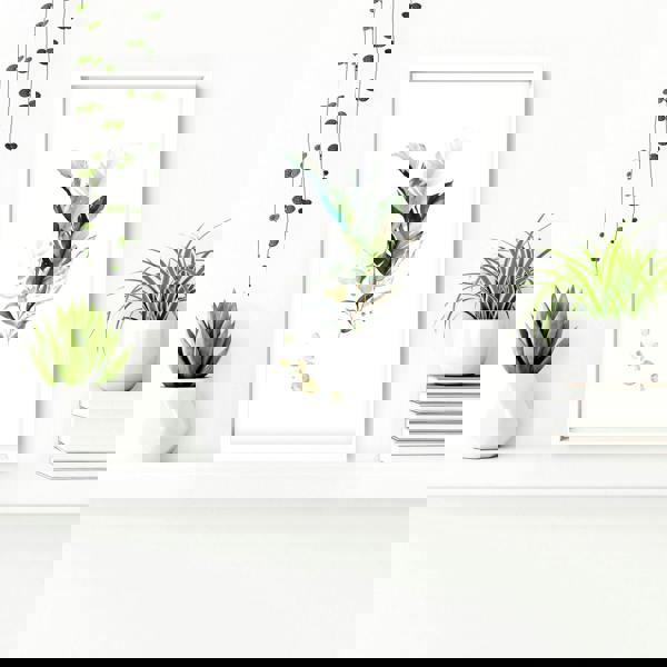 Pictures for bathroom walls | set of 3 wall art