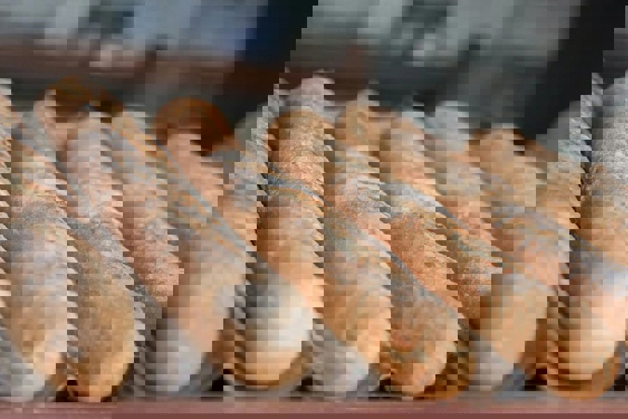 Anygleam Baking Tray 3 Loaf Non Stick Perforated Oven Pastry Pan Molder With Hole