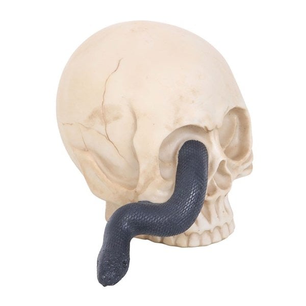 Serano Skull Ornament with Snake