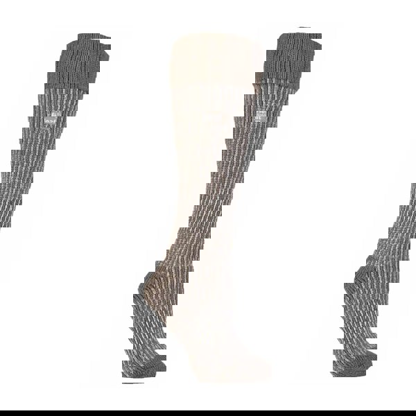 t4option1_1