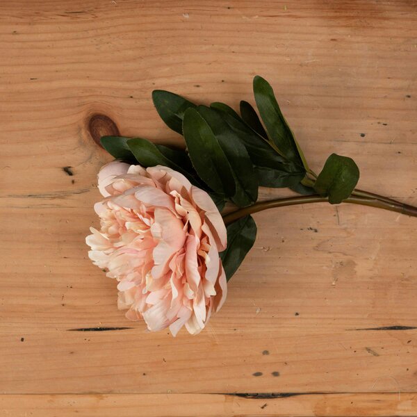 Wyld Haus Set of 3 Artificial Flowers Peach Peony Rose Stem