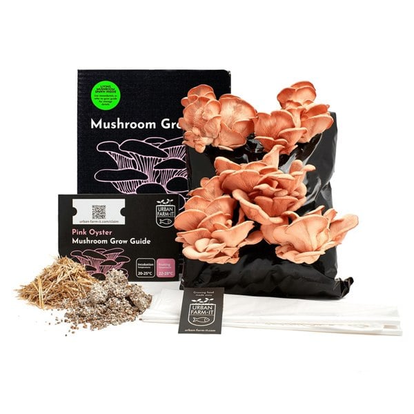 Urban Farm-It Pink Oyster Mushroom Growing Kit