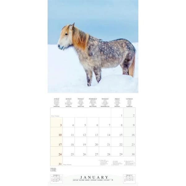 Magic Horses Calendar 2027, Wall Calendars, Month To View, Animals, Gift
