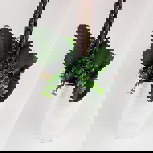 Leaf 85cm Artificial Deluxe XL Orchid - Dark Pink