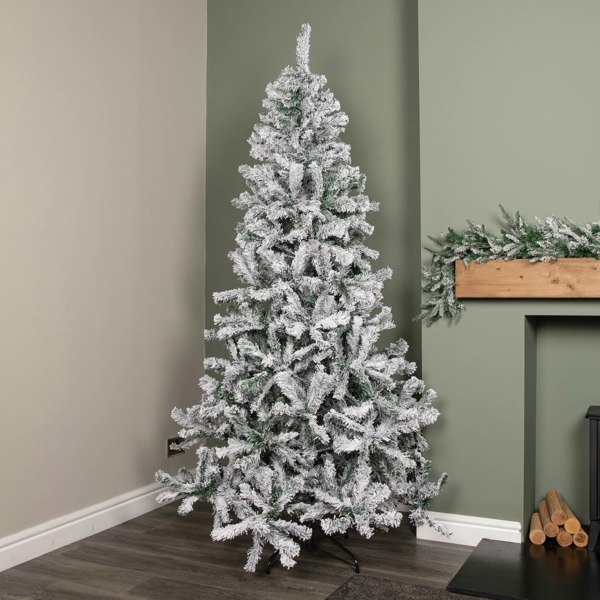 Main