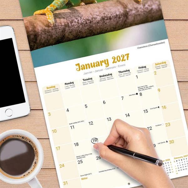 Lizards Calendar 2027, Wall Calendars, Month To View, Animals, Gift