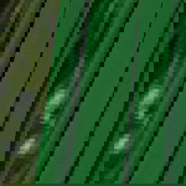 Monstershop Green 2.7m LED Tilt Parasol