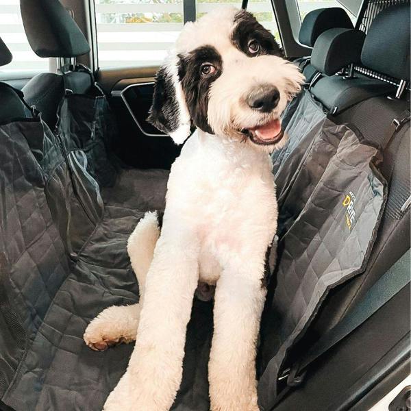 EzyDog Drive Dog Car Hammock