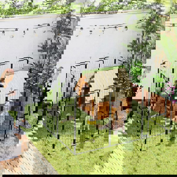 D06-248V02BK