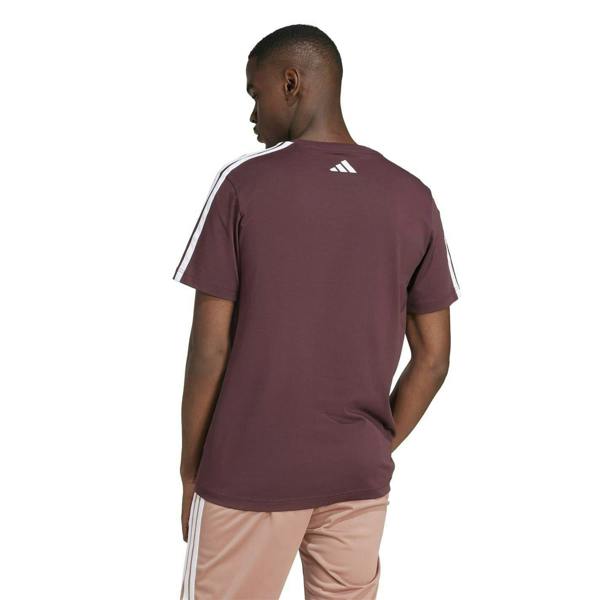 Adidas Mens Linear Graphic Collegiate T-Shirt - Ruby Red - 