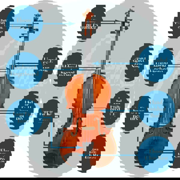 Forenza Prima I Series 1/2 Size Violin Outfit