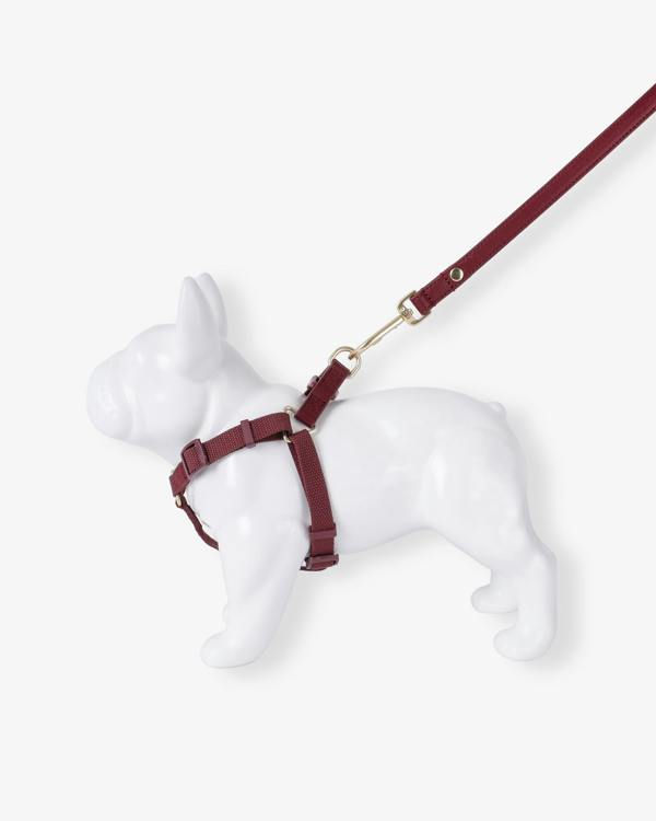 Barc London Merlot Red Dog Harness