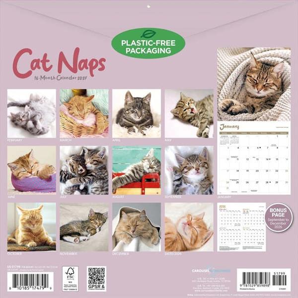 Cat Naps Calendar 2027, Wall Calendars, Month To View, Cats, Gift