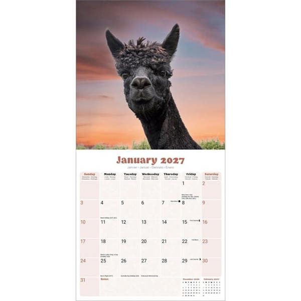 Alpacas Calendar 2027, Wall Calendars, Month To View, Animals, Gift