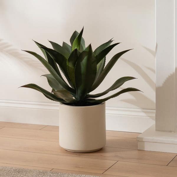 Scottish Everlastings 57cm Oversized Agave