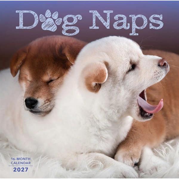 Dog Naps Calendar 2027, Wall Calendars, Month To View, Dogs, Gift