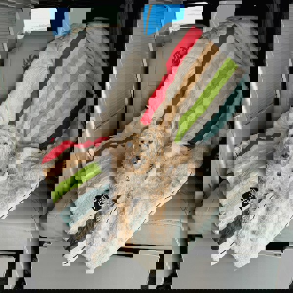 The Original Insulated Blanko® - Geo Haven OLPRO