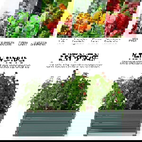 Garden Bed
