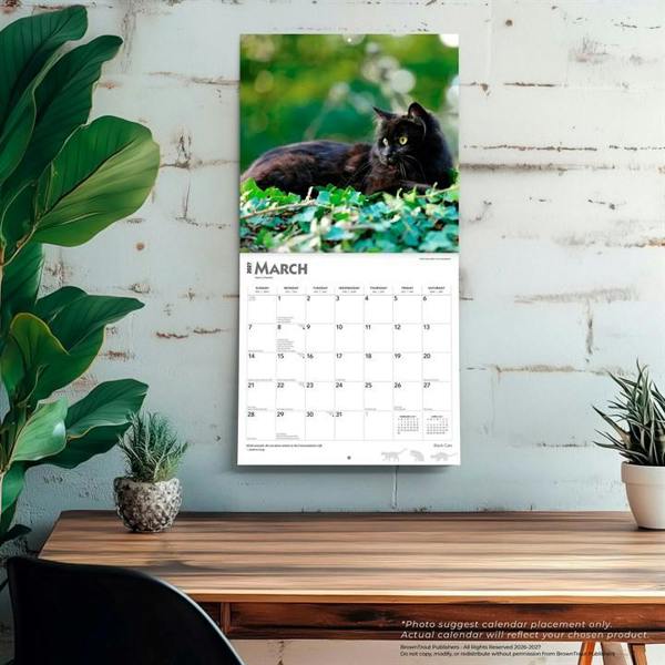 Black Cats Calendar 2027, Wall Calendars, Month To View, Cats, Gift