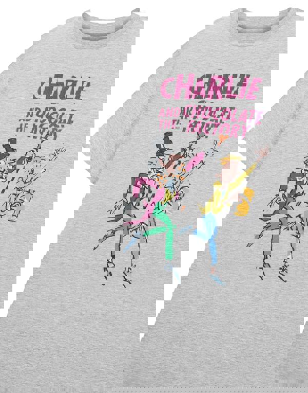 Roald Dahl Unisex Kids Grey Charlie and The Chocolate Factory Short Sleeved T-Shirt