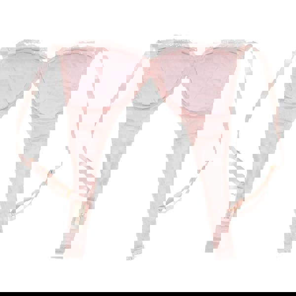 Little Women Petal High Apex Ultra Padded Non-Wired Bra