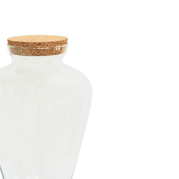 Ivyline Teardrop Glass Lid Terrarium