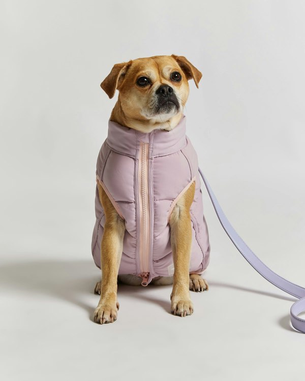 Barc London Reversible Dog Puffer Jacket - Pink & Lilac