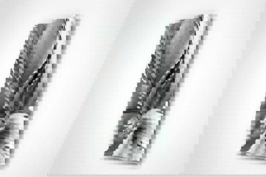 artistic tulip flower print for walls and home interiors